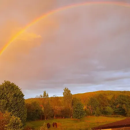 Lägenhet Bergstrasse
